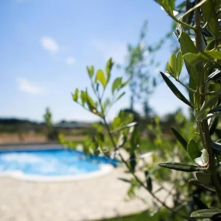Marceta Authentic In Istria
